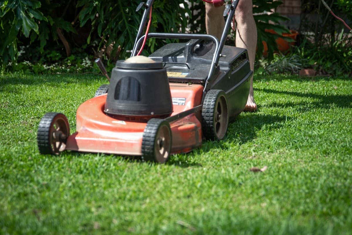 When to start mowing bermuda grass in spring