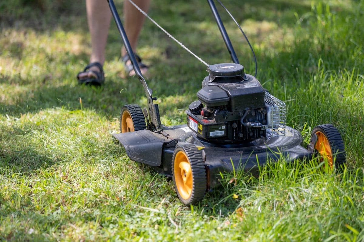 Push mower cutting grass low for spring lawn scalping