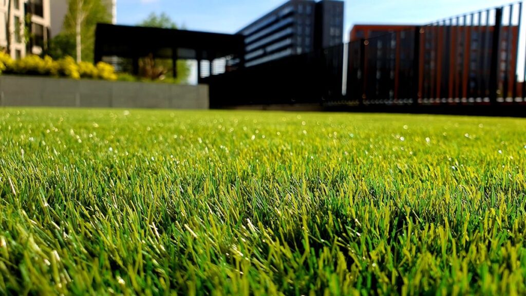 Homeowner deciding which DIY home and lawn projects to tackle